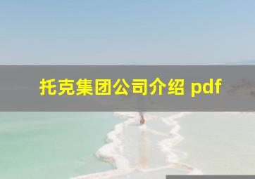 托克集团公司介绍 pdf